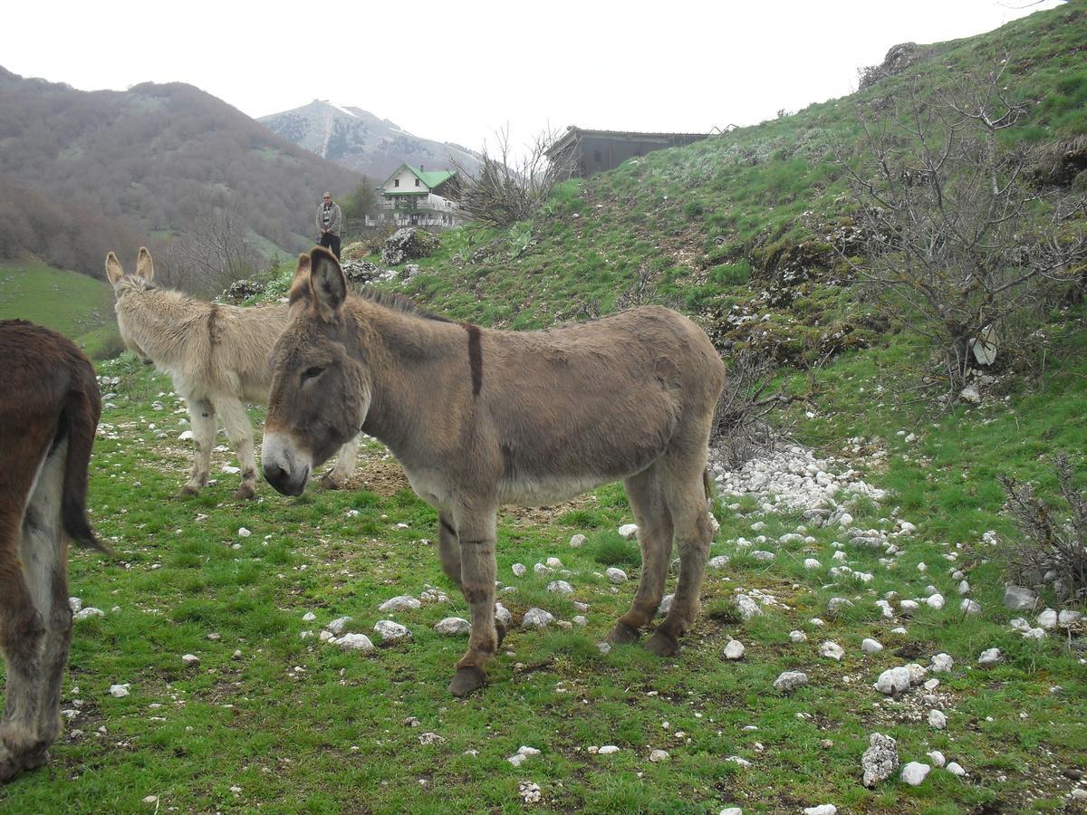 Hotel Valle Del Lupo Pescasseroli Εξωτερικό φωτογραφία